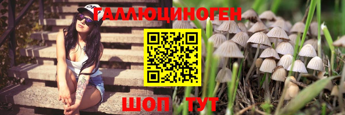 МАРИХУАНА  КОКАИН  MDMA  Вход с VPN  Кызыл  ГАШИШ  Меф МЯУ МЯУ кристаллы  Кокаин  Гашиш 